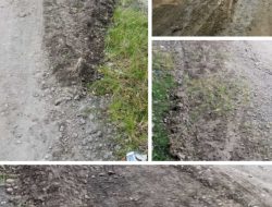 Proyek Peningkatan Jalan di Kecamatan Ulu Moroo Yang Dikerjakan CV. IHAKA Diduga Asal Jadi