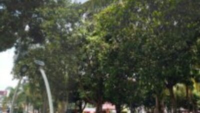 Renovasi Alun – Alun Kota Jember Diduga hanya Dijadikan Bahan Bancakan.