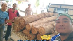Lagi-Lagi Tim Perhutani Bersama Polsek Arjasa Amankan BB Ilegal Logging Yang Sudah Sering Terjadi Diwilaya Situbondo.