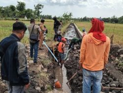 PPK Dinas PUPP Bersama Feri Kembali Turun Lapangan Tindaklanjuti Pengaduan Proyek Rehabilitasi Jaringan Irigasi Di Situbondo