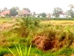 Buntut dari tidak dilakukannya Reklamasi dan Reboisasi pasca Aktivitas Berakhir LPLH TN Probolinggo Raya Akan Laporkan Tambang Nakal ke Penegak Hukum