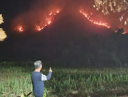 Kebakaran Hutan Jati Di Klatakan Malam Ini Bongkar Lemahnya Pengawasan Perhutani dan BPBD