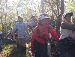 Ribuan Pohon Kopi di Ijen Dirusak OTK, Provokasi Adu Domba Masyarakat dan PTPN Kembali Memanas