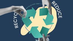 Pendidikan Lingkungan