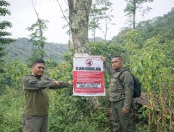 Perhutani KPH Bondowoso Laporkan Dugaan Pengrusakan Tegakan Hutan di Petak 6A3 ke Polres Situbondo