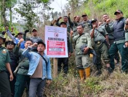 Perhutani KPH Bondowoso Tertibkan Garapan Ilegal, Kawasan Hutan Sumbermalang Dipasang Plang Larangan