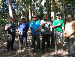 Perhutani KPH Bondowoso Tingkatkan Patroli Preventif Cegah Gangguan Keamanan Hutan Saat Libur Panjang
